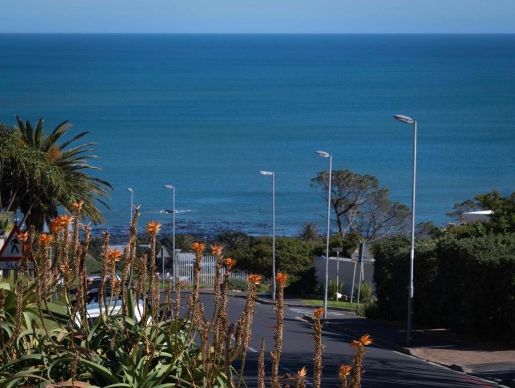 The Atlantic Donreal Cape Town